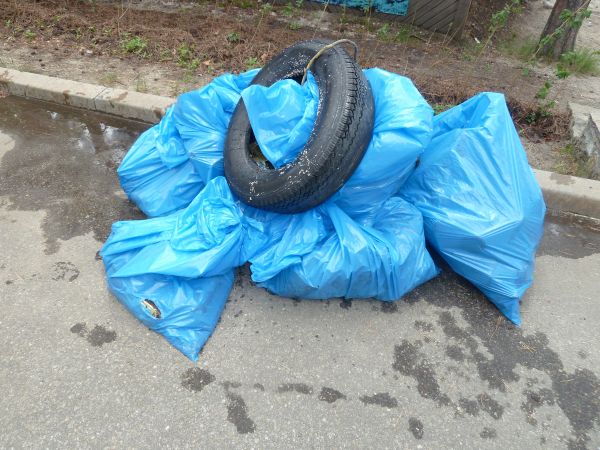 День очистки водоёмов